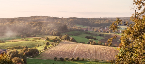 Vignette nos actions pour l'environnement